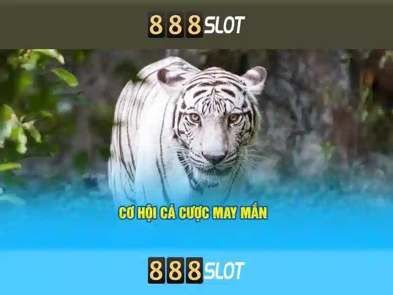  888slot chính thức - 888slot